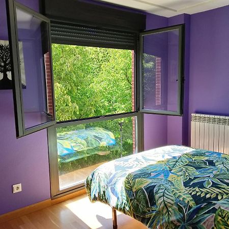 Apartmán La Terraza De Zahara Pamplona Exteriér fotografie